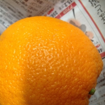 こんばんは〜〜。たくさんオレンジ買ったので助かります^o^上手に保存して美味しくいただきます^o^ありがとうございました^_−☆